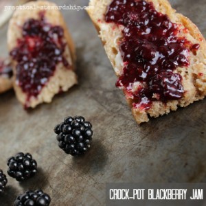 Crock-pot Blackberry Jam on Bread