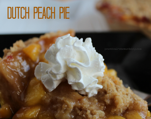 Vegan Dutch Peach Pie
