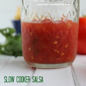 Salsa, Slow Cooker Style