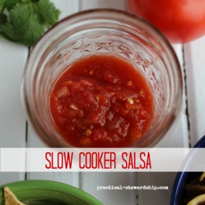 Slow Cooker Salsa