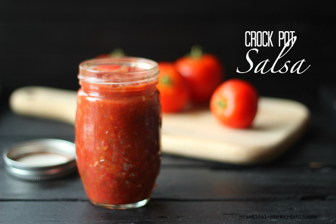 Crock Pot Salsa