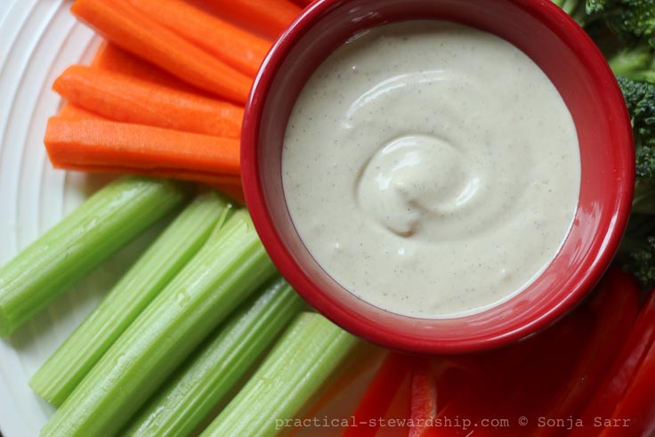 Creamy Vegan Ranch Dressing