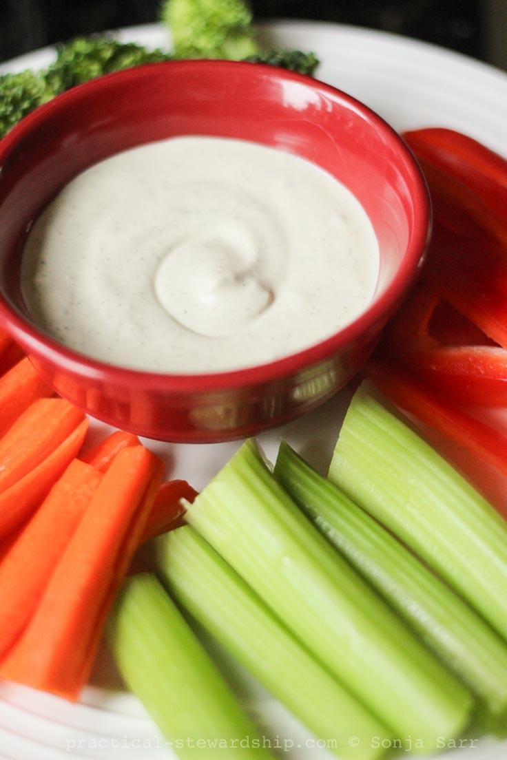 Creamy Vegan Ranch Dressing