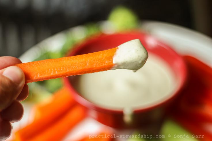 Creamy Vegan Ranch Dressing