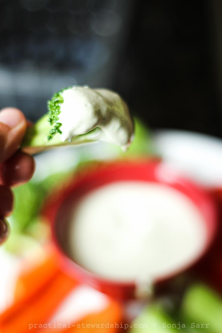 Creamy Vegan Ranch Dressing