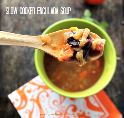 Slow Cooker Enchilada Soup
