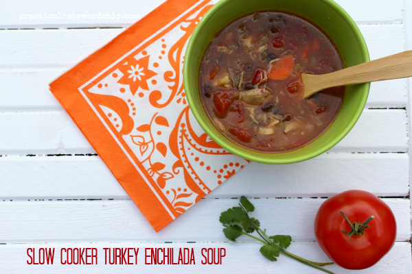 Slow Cooker Turkey Enchilada Soup