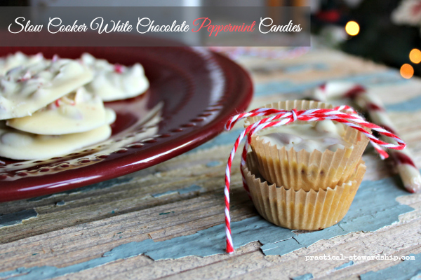 24 Candy Ideas: Slow Cooker White Chocolate Peppermint Candy