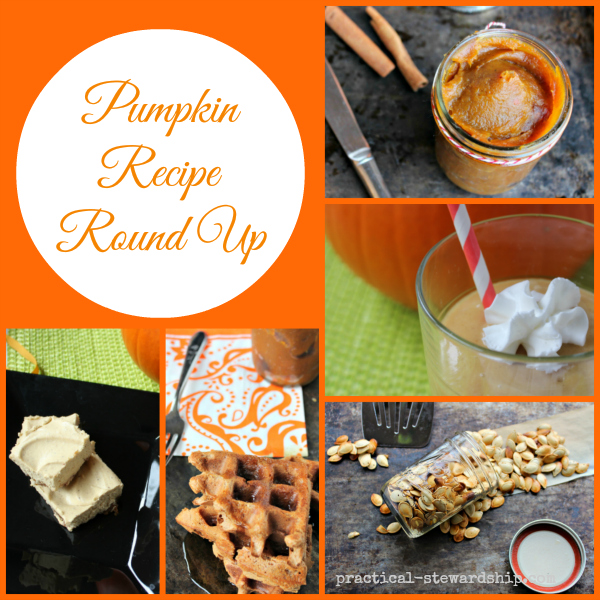 Pumpkin Recipe Round Up