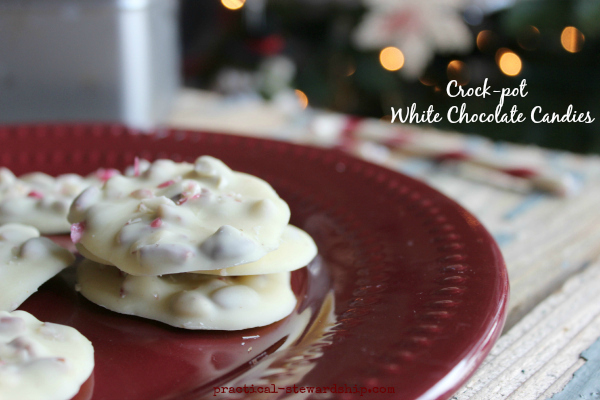           Crock-pot  White Chocolate Candies