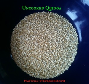 Uncooked Quinoa @ practical-stewardship.com