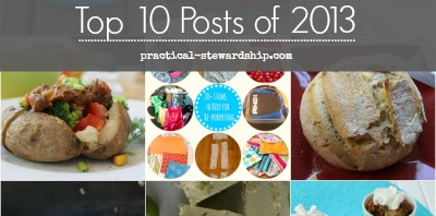 Top 10 Posts of 2013