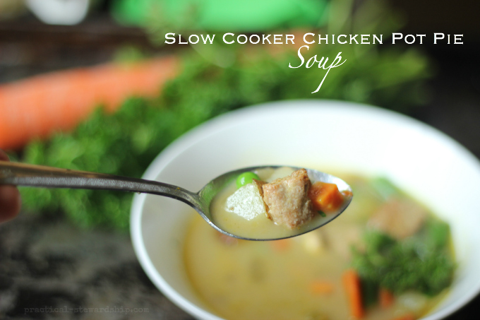 Slow Cooker Chicken Pot Pie  Soup