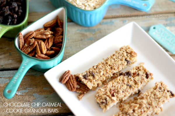 CHOCOLATE CHIP OATMEAL COOKIE GRANOLA BARS