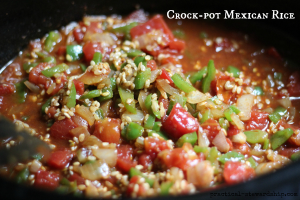 Crockpot Ground Beef Spanish Rice - Fit Slow Cooker Queen