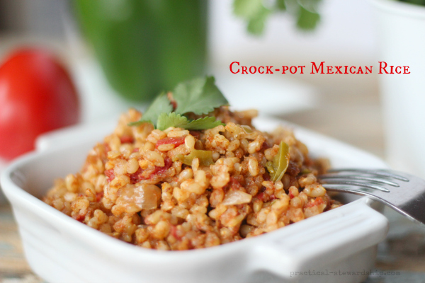 Crockpot Ground Beef Spanish Rice - Fit Slow Cooker Queen