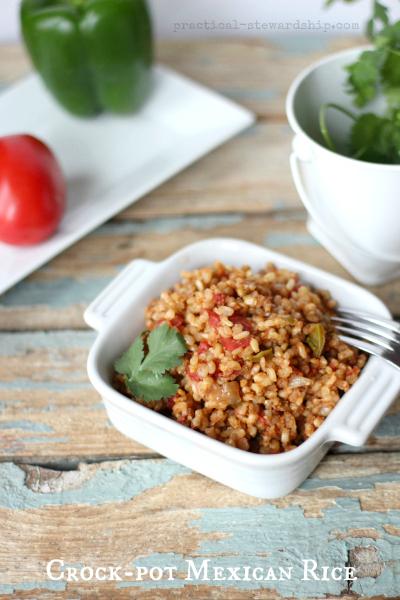 Crockpot Ground Beef Spanish Rice - Fit Slow Cooker Queen