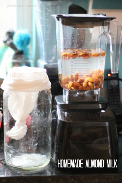 Do You Really Need a High Powered Blender? - Practical Stewardship