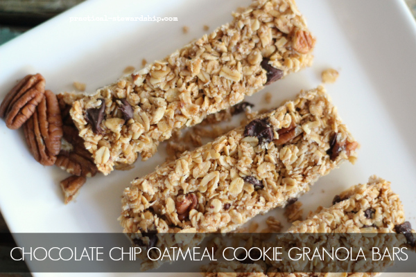 CHOCOLATE CHIP OATMEAL COOKIE GRANOLA BAR