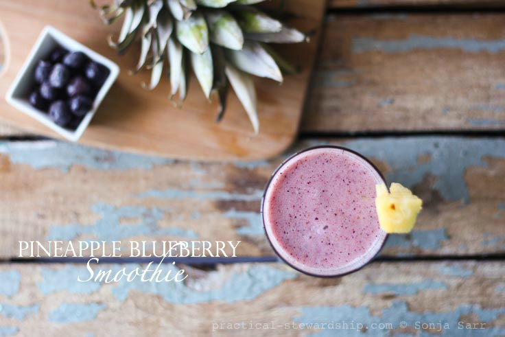 Pineapple Blueberry Smoothie