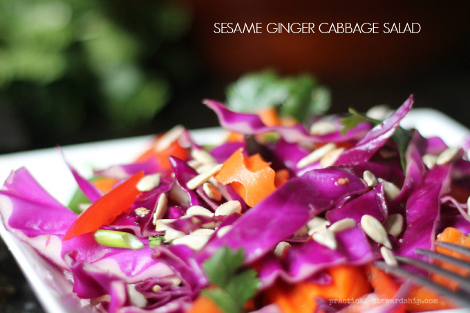 SESAME GINGER CABBAGE SALAD Closeup