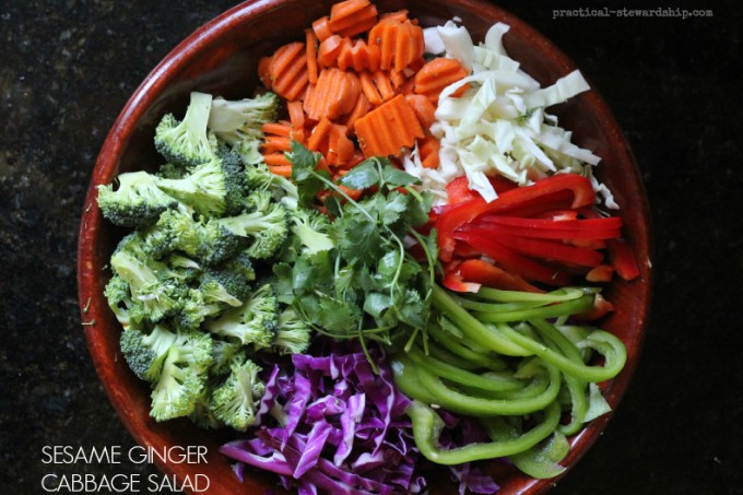 Sesame Ginger Cabbage Salad