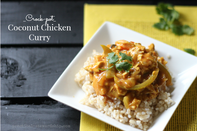 Slow Cooker Coconut Chicken Curry | practical-stewardship.com