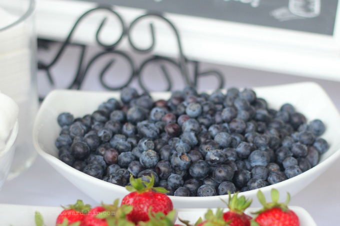 Blueberries and Chocolate Fountain