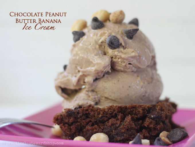 Chocolate Peanut Butter Banana Dairy-free Ice Cream