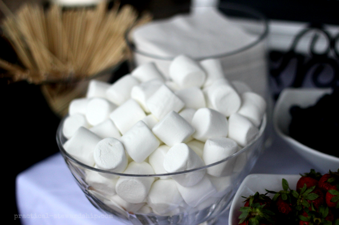 Marshmallows and Chocolate Fountain