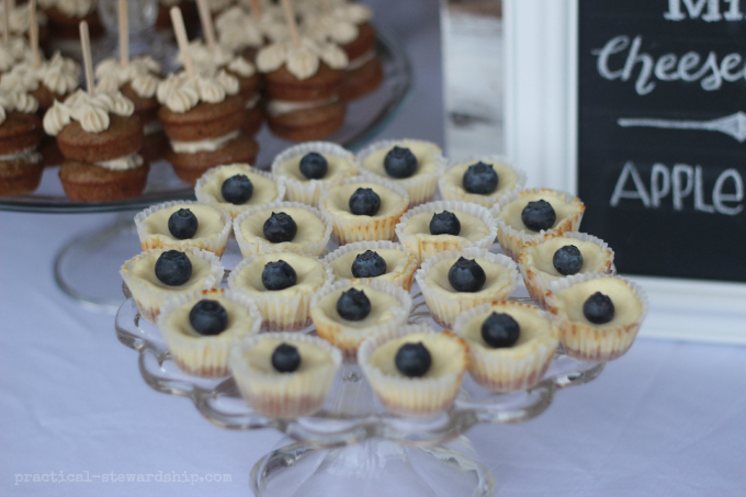 Mini Cheesecakes Topped with Blueberries