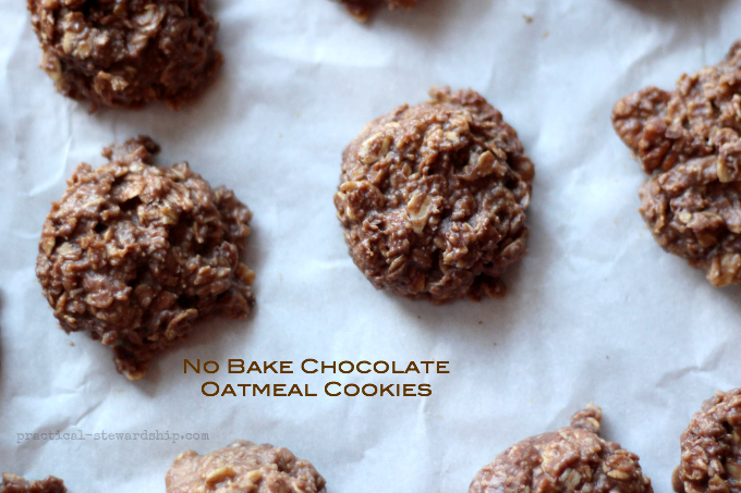 NO BAKE Oatmeal Chocolate Chip Cookies