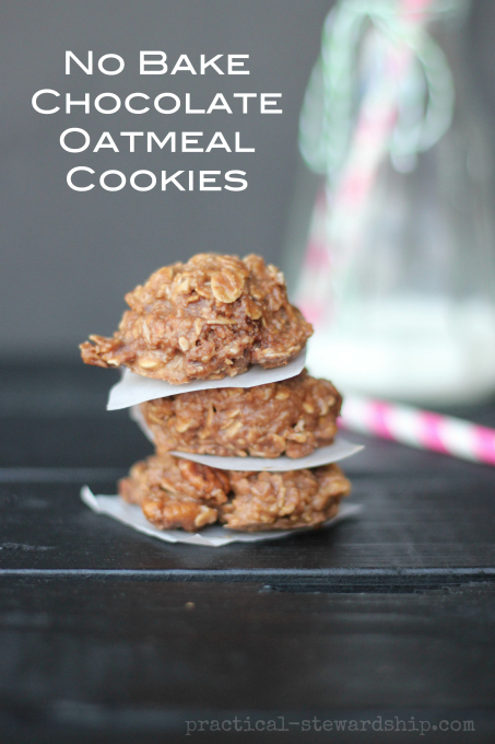 No Bake Chocolate Oatmeal  Cookies