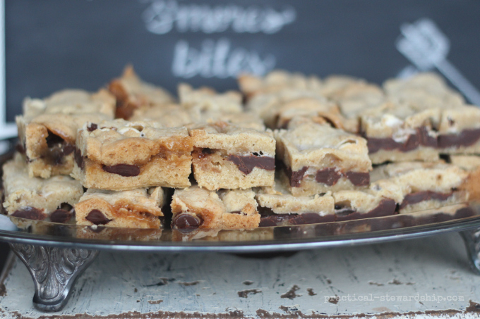 S'mores Bars and Dessert Bar