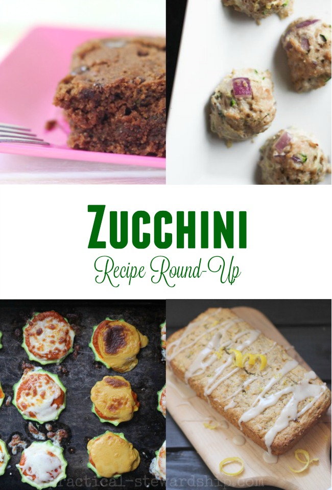 Zucchini Recipe Round Up