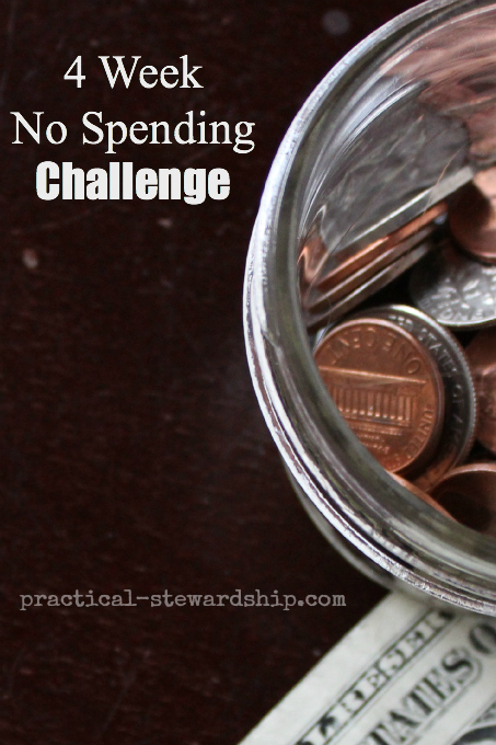 4 Week No Spending Challenge