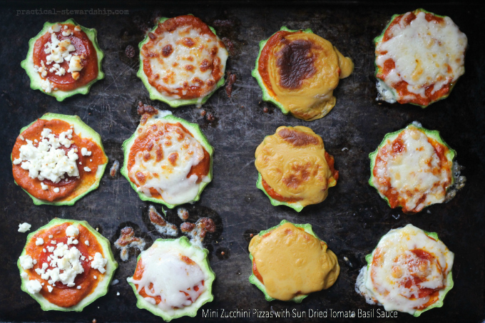 Mini Zucchini Pizzas with Sun Dried Tomato Basil Sauce