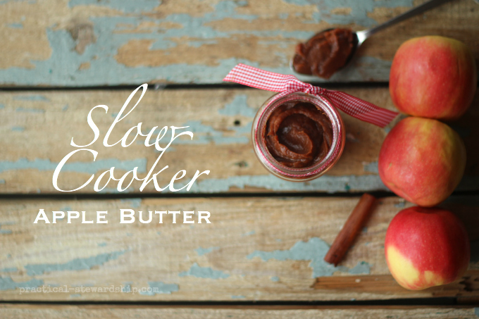 Slow Cooker Apple Butter with Apples