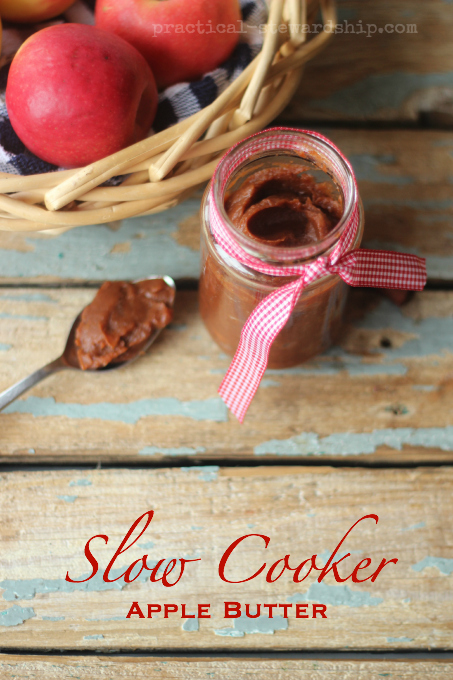 Slow Cooker Apple Butter