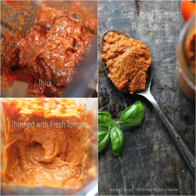 Sun Dried Tomato Basil Sauce Collage
