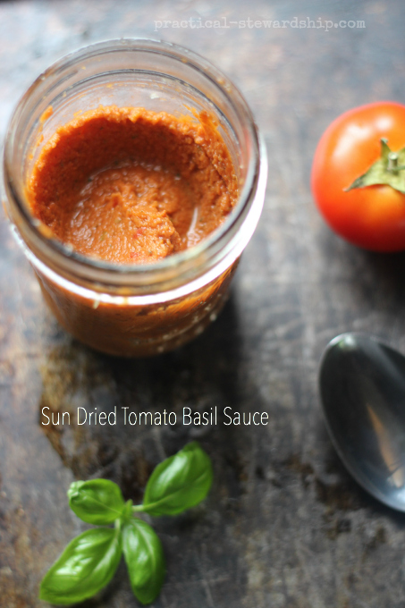 Sun Dried Tomato Basil Sauce