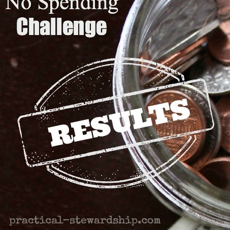 4 Week No Spending Challenge Results