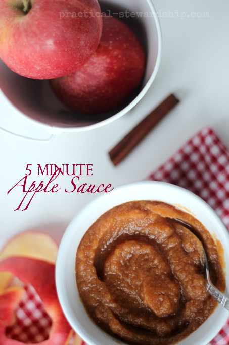 5 Minute Blender Apple Sauce