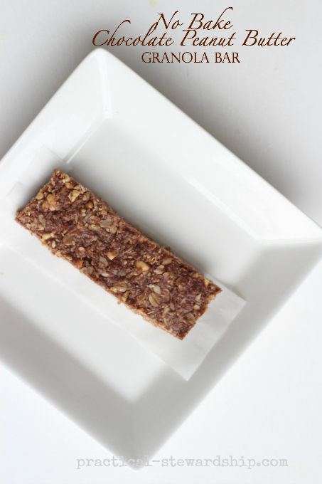 No Bake Chocolate Peanut Butter Granola Bar