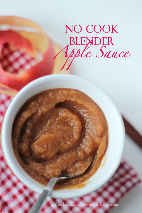 No Cook Blender Apple Sauce