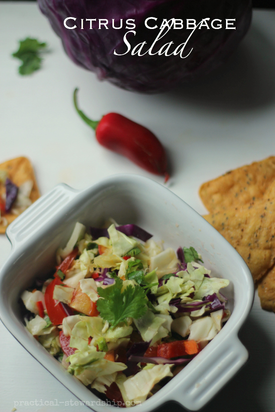 Citrus Cabbage Salad