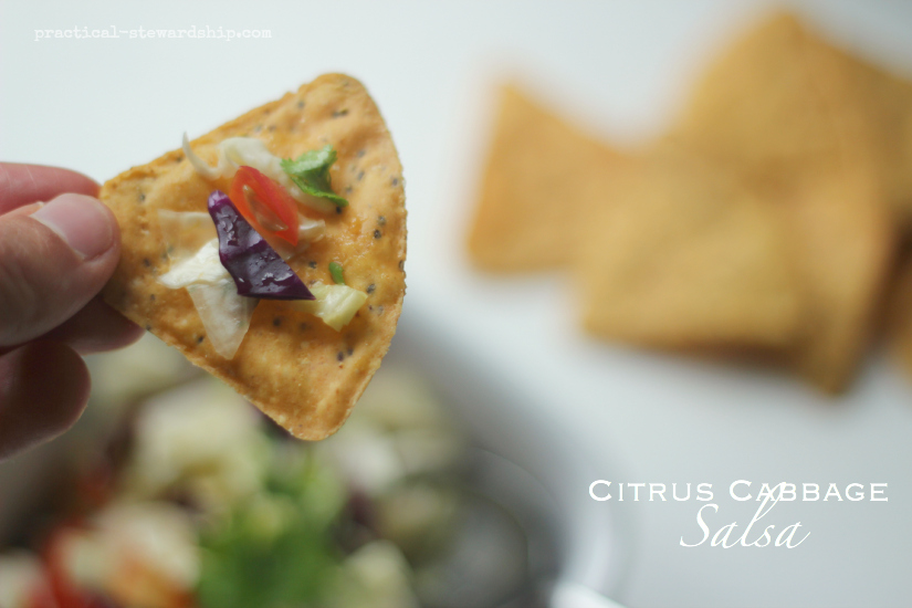 Citrus Cabbage Salsa