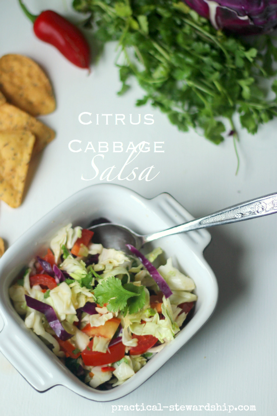 Citrus Cabbage Salad