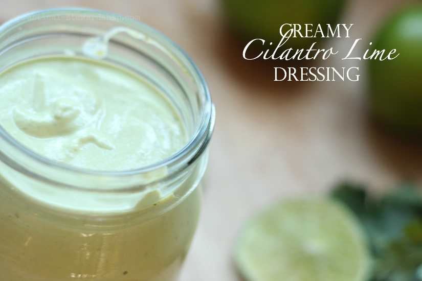 Dairy-free Cilantro Lime Dressing