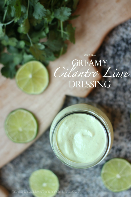 Dairy-free Creamy Cilantro Lime Dressing